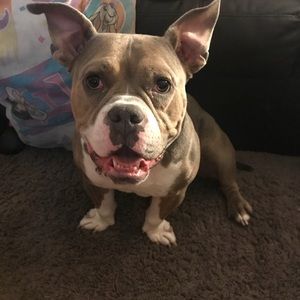 Meet your Posher, Kari